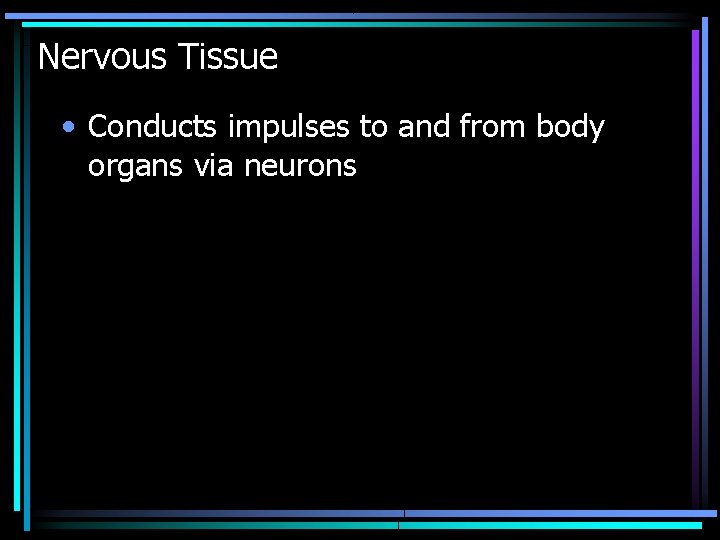 Nervous Tissue • Conducts impulses to and from body organs via neurons 