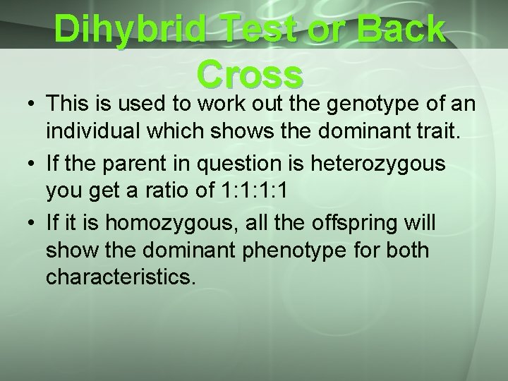 Dihybrid Test or Back Cross • This is used to work out the genotype