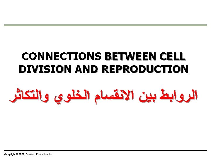 CONNECTIONS BETWEEN CELL DIVISION AND REPRODUCTION ﺍﻟﺮﻭﺍﺑﻂ ﺑﻴﻦ ﺍﻻﻧﻘﺴﺎﻡ ﺍﻟﺨﻠﻮﻱ ﻭﺍﻟﺘﻜﺎﺛﺮ Copyright © 2009