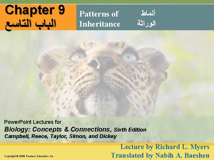 Chapter 9 ﺍﻟﺒﺎﺏ ﺍﻟﺘﺎﺳﻊ Patterns of Inheritance ﺃﻨﻤﺎﻁ ﺍﻟﻮﺭﺍﺛﺔ Power. Point Lectures for Biology: