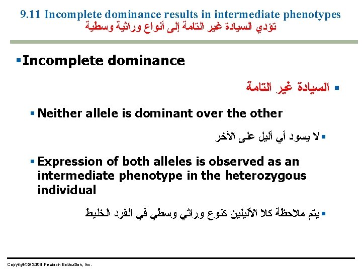 9. 11 Incomplete dominance results in intermediate phenotypes ﺗﺆﺪﻱ ﺍﻟﺴﻴﺎﺩﺓ ﻏﻴﺮ ﺍﻟﺘﺎﻣﺔ ﺇﻟﻰ ﺃﻨﻮﺍﻉ