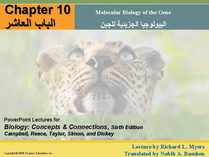 Chapter 10 ﺍﻟﺒﺎﺏ ﺍﻟﻌﺎﺷﺮ Molecular Biology of the Gene ﺍﻟﺒﻴﻮﻟﻮﺟﻴﺎ ﺍﻟﺠﺰﻳﺌﻴﺔ ﻟﻠﺠﻴﻦ Power. Point