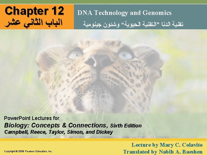 Chapter 12 ﺍﻟﺒﺎﺏ ﺍﻟﺜﺎﻧﻲ ﻋﺸﺮ DNA Technology and Genomics ﺗﻘﻨﻴﺔ ﺍﻟﺪﻧﺎ ”ﺍﻟﺘﻘﻨﻴﺔ ﺍﻟﺤﻴﻮﻳﺔ“ ﻭﺷﺌﻮﻥ