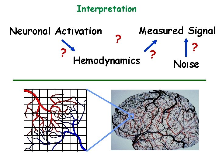 Interpretation Neuronal Activation ? ? Measured Signal Hemodynamics ? ? Noise 