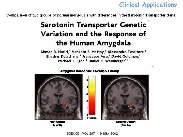 Clinical Applications Comparison of two groups of normal individuals with differences in the Serotonin