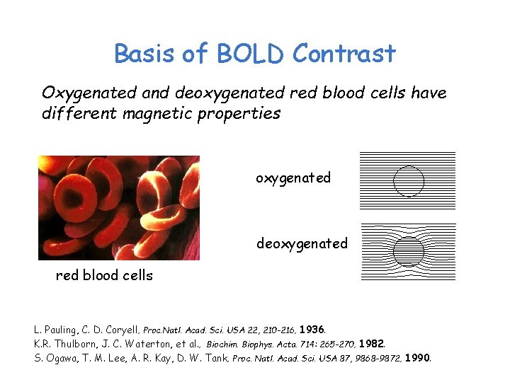 Basis of BOLD Contrast Oxygenated and deoxygenated red blood cells have different magnetic properties
