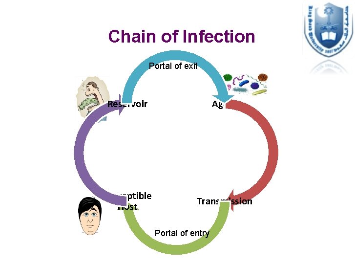 Chain of Infection Portal of exit Reservoir Agent Susceptible Host Transmission Portal of entry