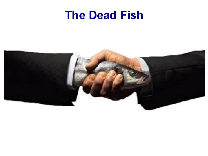 The Dead Fish 