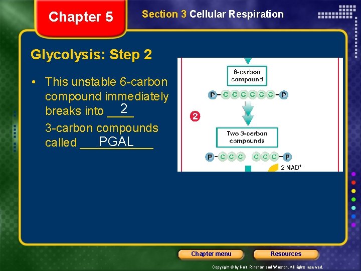 Chapter 5 Section 3 Cellular Respiration Glycolysis: Step 2 • This unstable 6 -carbon