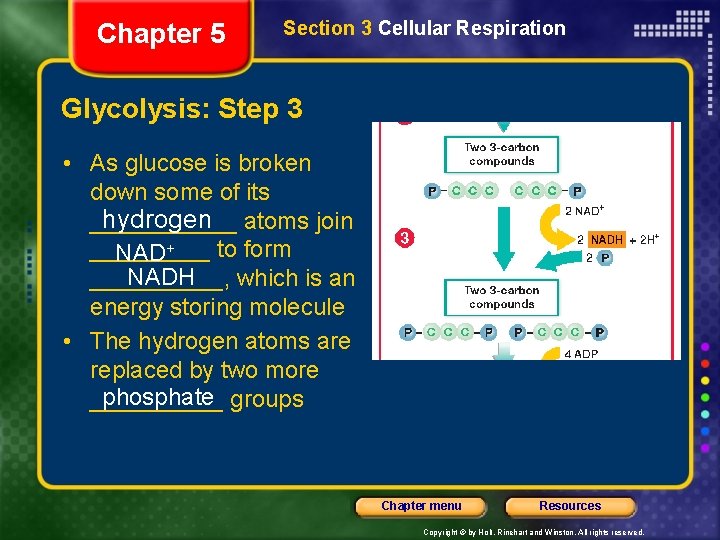 Chapter 5 Section 3 Cellular Respiration Glycolysis: Step 3 • As glucose is broken