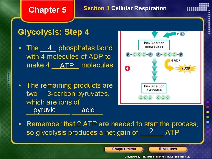 Chapter 5 Section 3 Cellular Respiration Glycolysis: Step 4 • The ____ 4 phosphates