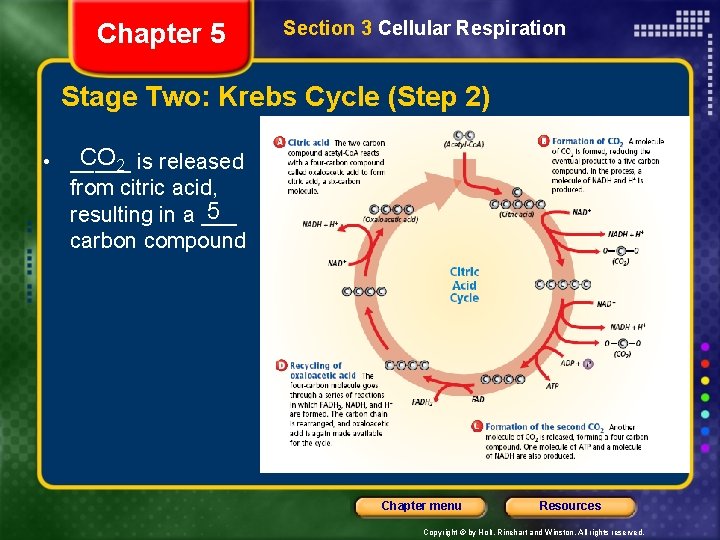 Chapter 5 Section 3 Cellular Respiration Stage Two: Krebs Cycle (Step 2) CO 2