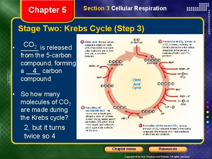 Chapter 5 Section 3 Cellular Respiration Stage Two: Krebs Cycle (Step 3) CO 2