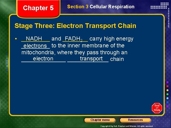 Chapter 5 Section 3 Cellular Respiration Stage Three: Electron Transport Chain • _____ NADH