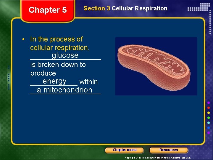 Chapter 5 Section 3 Cellular Respiration • In the process of cellular respiration, glucose