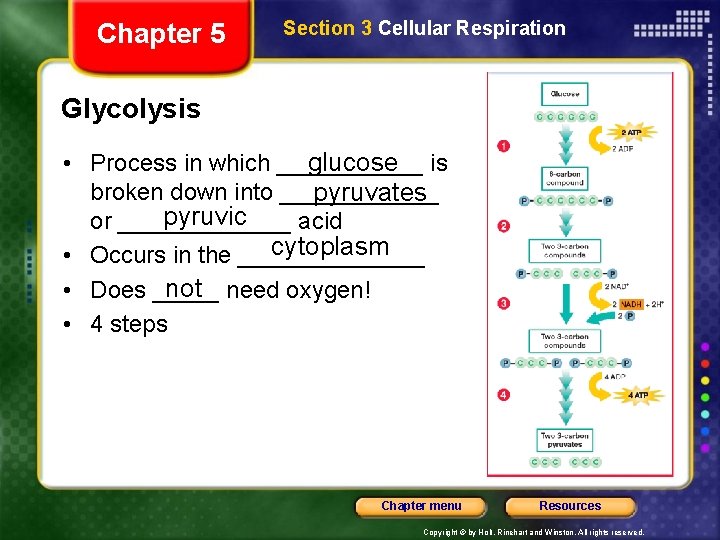 Chapter 5 Section 3 Cellular Respiration Glycolysis • Process in which ______ glucose is