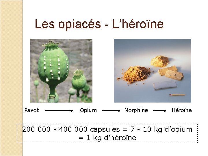 Les opiacés - L’héroïne Pavot Opium Morphine Héroïne 200 000 - 400 000 capsules