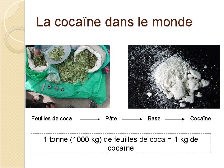 La cocaïne dans le monde Feuilles de coca Pâte Base Cocaïne 1 tonne (1000