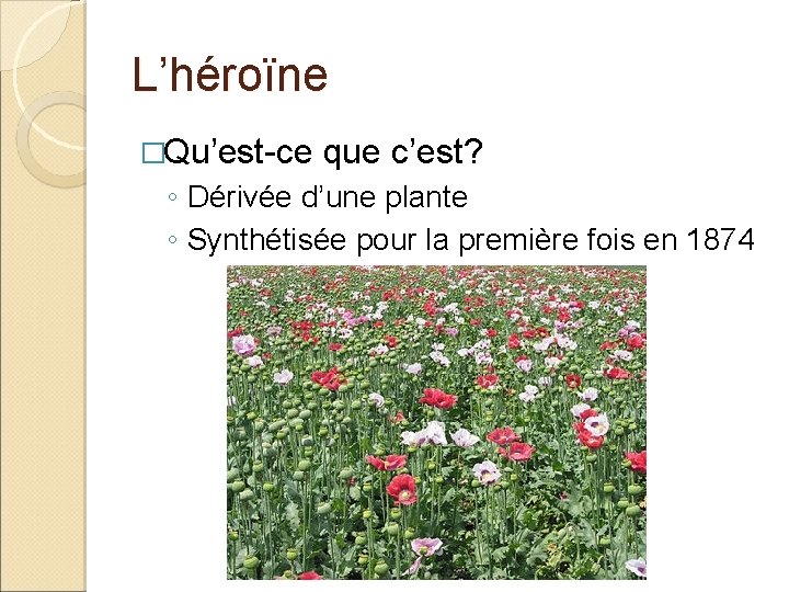 L’héroïne �Qu’est-ce que c’est? ◦ Dérivée d’une plante ◦ Synthétisée pour la première fois