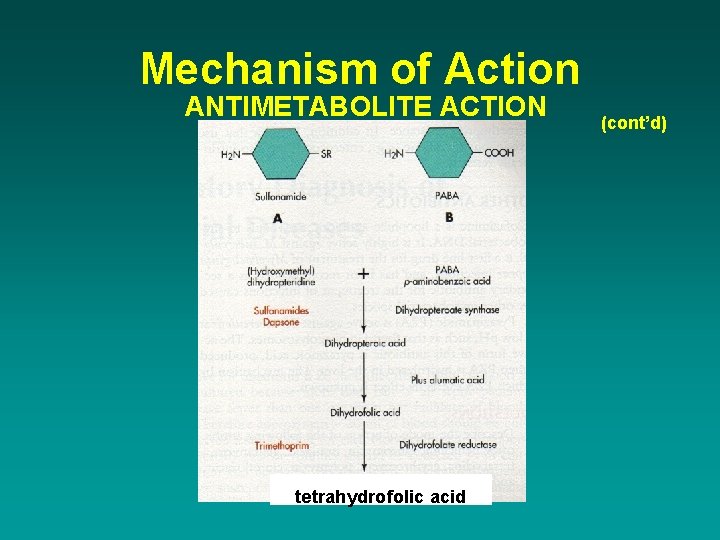 Mechanism of Action ANTIMETABOLITE ACTION tetrahydrofolic acid (cont’d) 