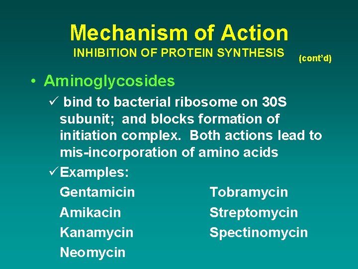 Mechanism of Action INHIBITION OF PROTEIN SYNTHESIS (cont’d) • Aminoglycosides ü bind to bacterial