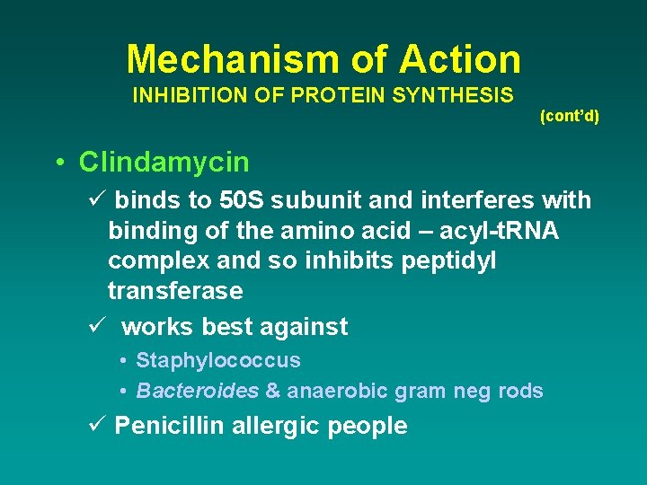 Mechanism of Action INHIBITION OF PROTEIN SYNTHESIS (cont’d) • Clindamycin ü binds to 50