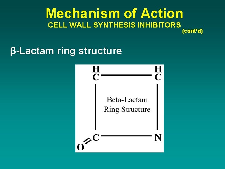 Mechanism of Action CELL WALL SYNTHESIS INHIBITORS β-Lactam ring structure (cont’d) 