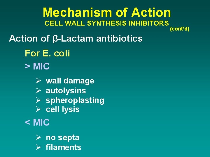 Mechanism of Action CELL WALL SYNTHESIS INHIBITORS Action of β-Lactam antibiotics For E. coli