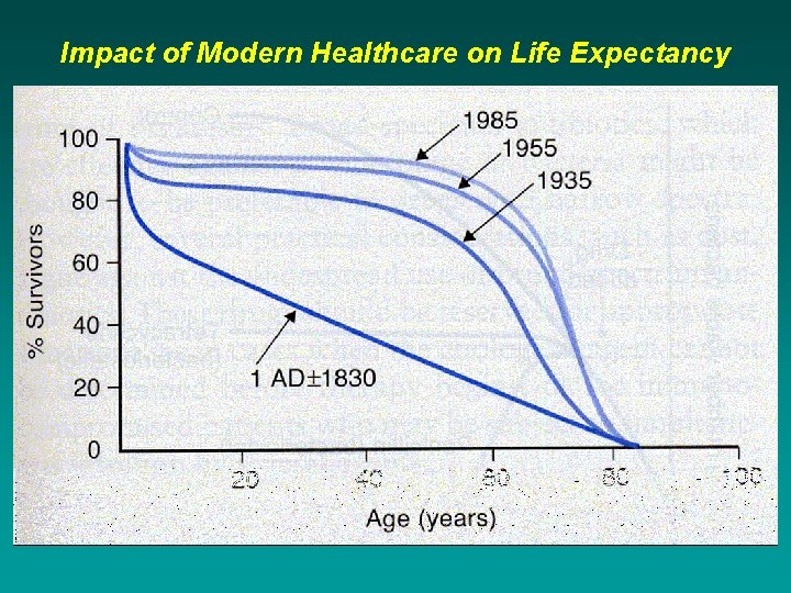 Impact of Modern Healthcare on Life Expectancy 