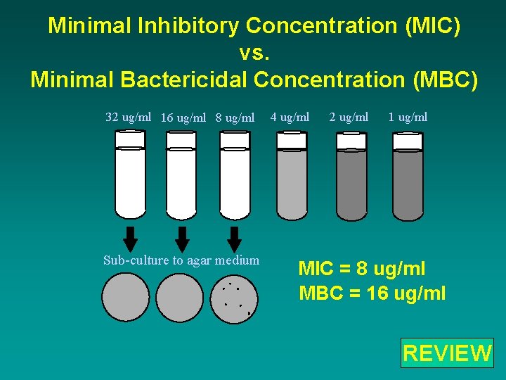 Minimal Inhibitory Concentration (MIC) vs. Minimal Bactericidal Concentration (MBC) 32 ug/ml 16 ug/ml 8