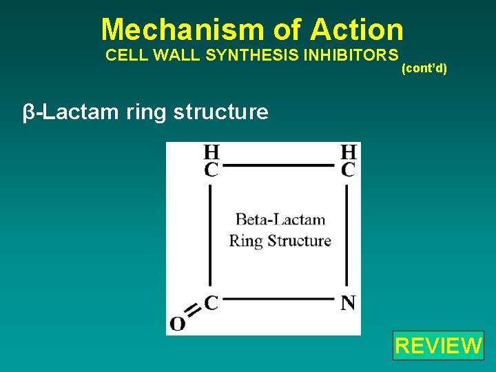 Mechanism of Action CELL WALL SYNTHESIS INHIBITORS (cont’d) β-Lactam ring structure REVIEW 