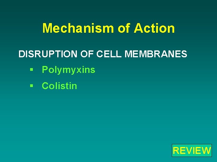 Mechanism of Action DISRUPTION OF CELL MEMBRANES § Polymyxins § Colistin REVIEW 