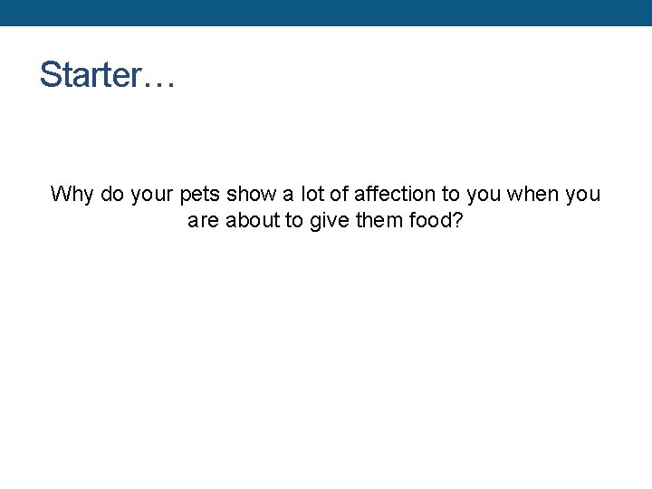 Starter… Why do your pets show a lot of affection to you when you