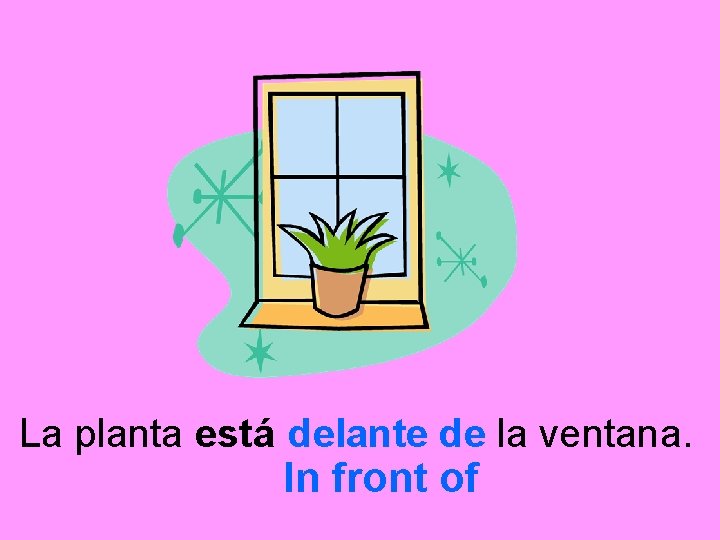 La planta está delante de la ventana. In front of 