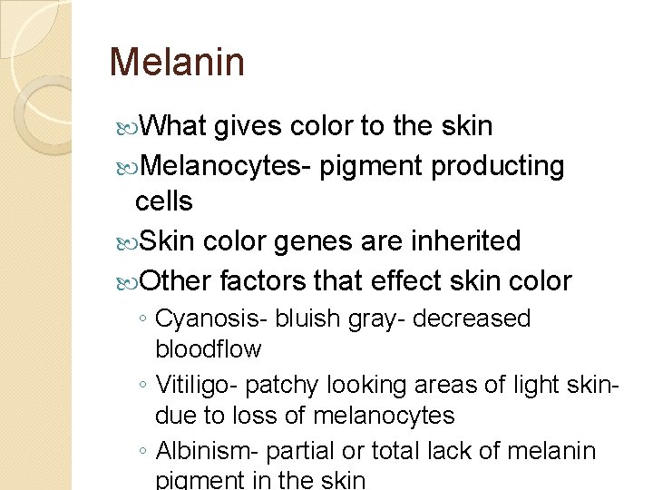 Melanin What gives color to the skin Melanocytes- pigment producting cells Skin color genes