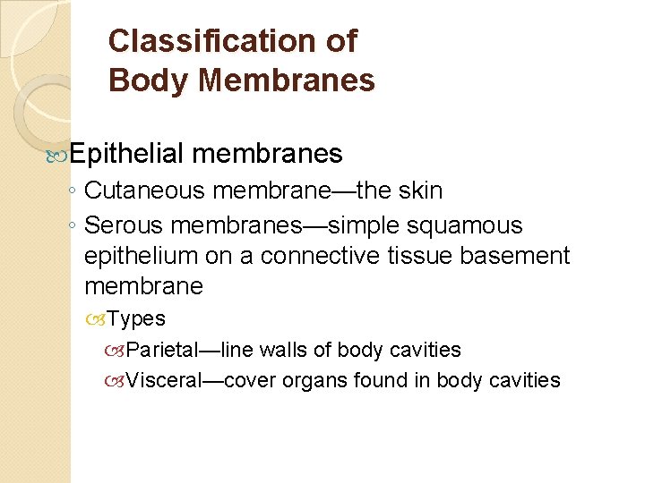 Classification of Body Membranes Epithelial membranes ◦ Cutaneous membrane—the skin ◦ Serous membranes—simple squamous