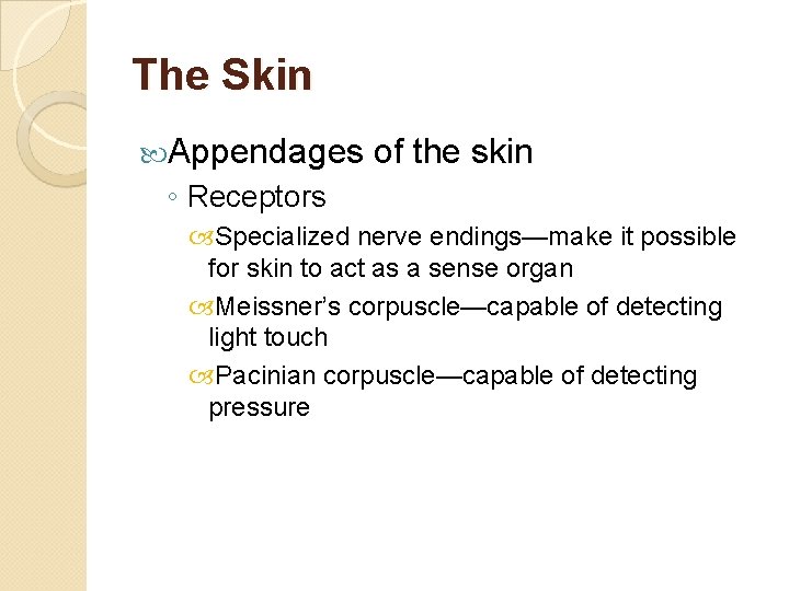 The Skin Appendages of the skin ◦ Receptors Specialized nerve endings—make it possible for