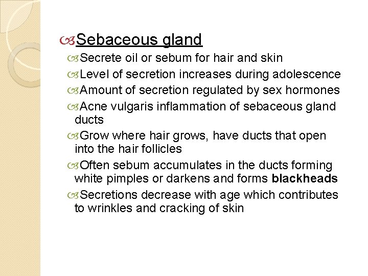  Sebaceous gland Secrete oil or sebum for hair and skin Level of secretion