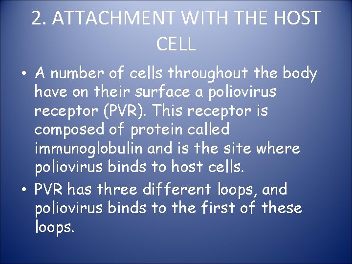 2. ATTACHMENT WITH THE HOST CELL • A number of cells throughout the body