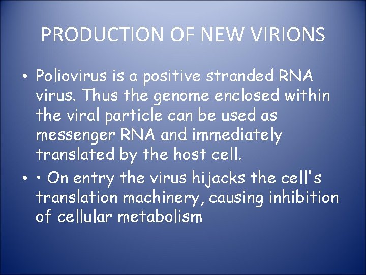 PRODUCTION OF NEW VIRIONS • Poliovirus is a positive stranded RNA virus. Thus the