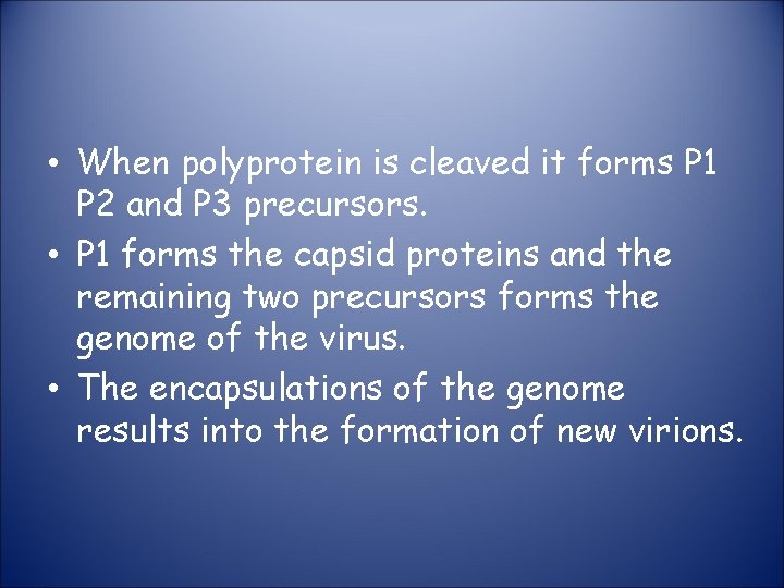  • When polyprotein is cleaved it forms P 1 P 2 and P