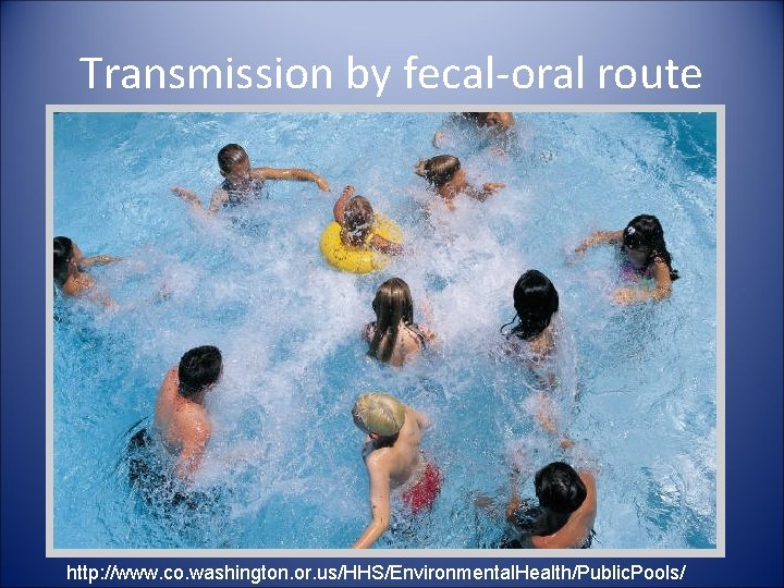 Transmission by fecal-oral route http: //www. co. washington. or. us/HHS/Environmental. Health/Public. Pools/ 
