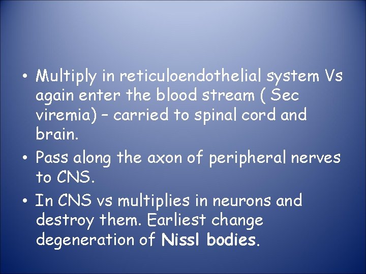  • Multiply in reticuloendothelial system Vs again enter the blood stream ( Sec