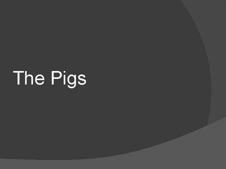 The Pigs 
