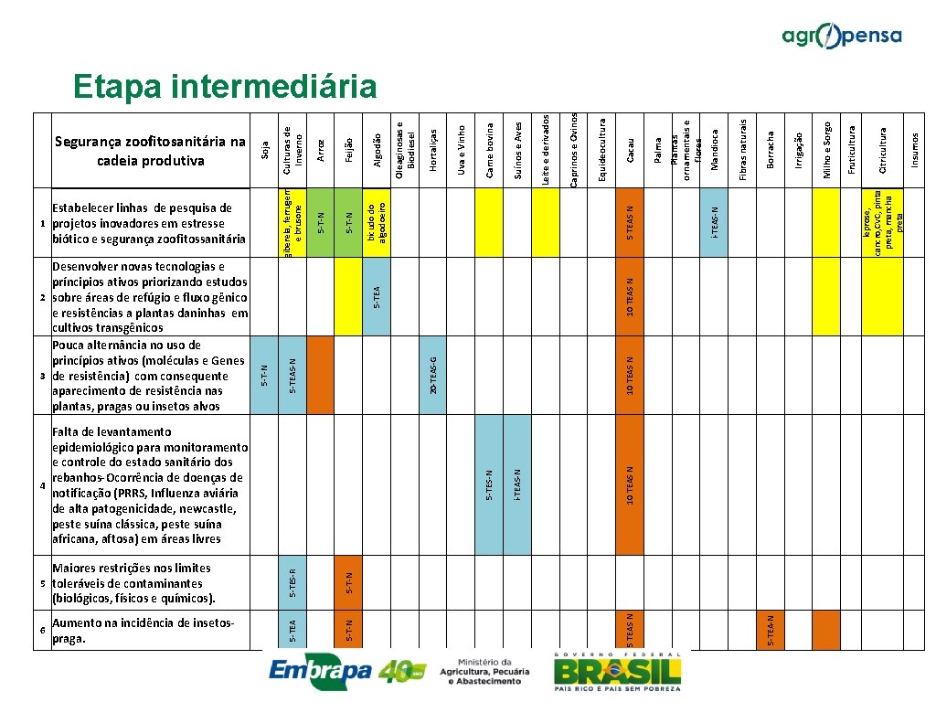 Insumos Citricultura leprose, cancro, CVC, pinta preta, mancha preta Fruticultura Milho e Sorgo Irrigação