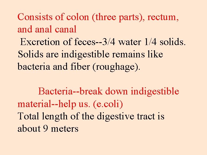 Consists of colon (three parts), rectum, and anal canal Excretion of feces--3/4 water 1/4