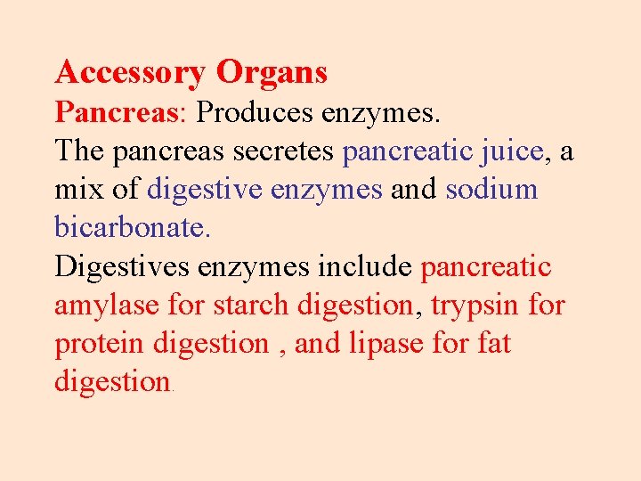 Accessory Organs Pancreas: Produces enzymes. The pancreas secretes pancreatic juice, a mix of digestive