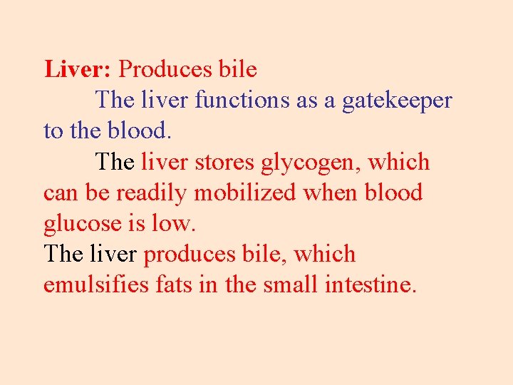 Liver: Produces bile The liver functions as a gatekeeper to the blood. The liver