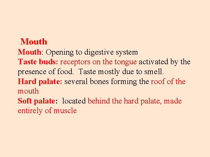 Mouth: Opening to digestive system Taste buds: receptors on the tongue activated by the