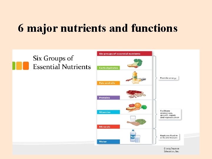 6 major nutrients and functions 